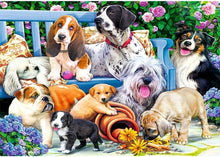 Trefl Dogs in the Garden 1000 Piece Jigsaw Puzzle Dogs Premium Quality