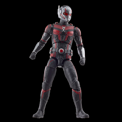 Hasbro Marvel Legends Ant-Man Quantumania 6in Action Figure