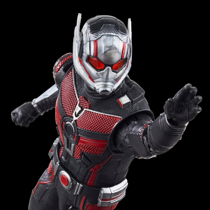 Hasbro Marvel Legends Ant-Man Quantumania 6in Action Figure