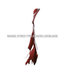 Manic Street Preachers : Lifeblood VINYL 20th Anniversary  12" Album 2 discs